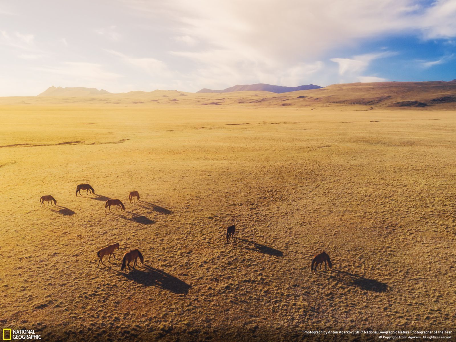 Poznaj najnowsze zgłoszone zdjęcia w konkursie Nat Geo Nature Photographer of the Year 2017 20