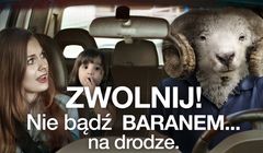 Reklamy tygodnia: Tymbark, Duracell, Nike, fotoradary i PGE (wideo)