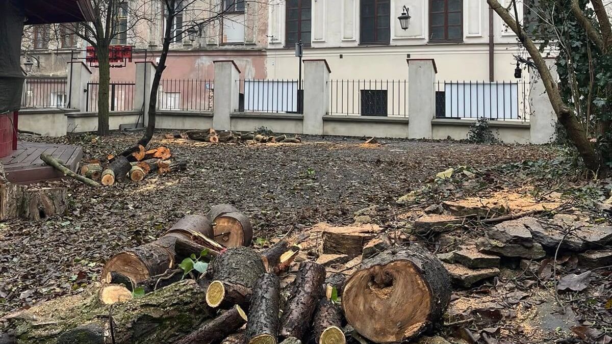 Wycięli drzewa w ogrodzie przy ul. Jezuickiej na Starym Mieście w Lublinie
