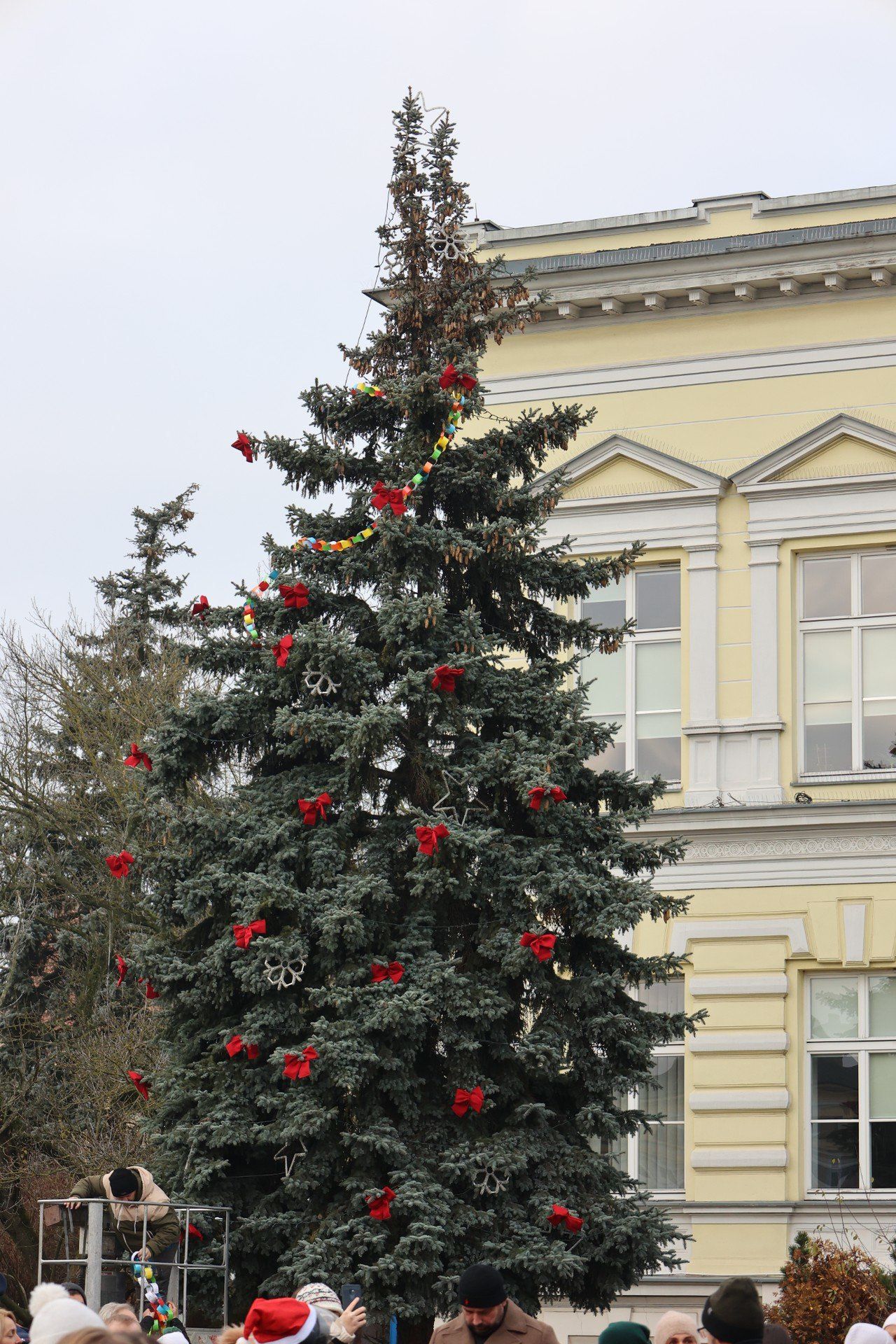 Wielkopolska: Wybieramy najpiękniejszą choinkę. Która najlepsza?
