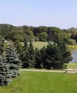 Warszawa. Drzewa policzone i podsumowane. Ich praca warta jest 170 milionów