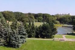 Warszawa. Drzewa policzone i podsumowane. Ich praca warta jest 170 milionów