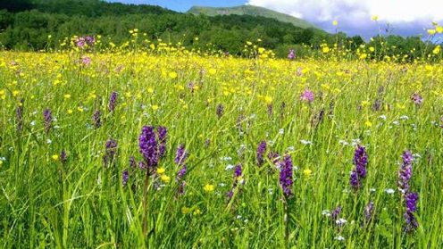 Lista serwisów dla podróżników 1