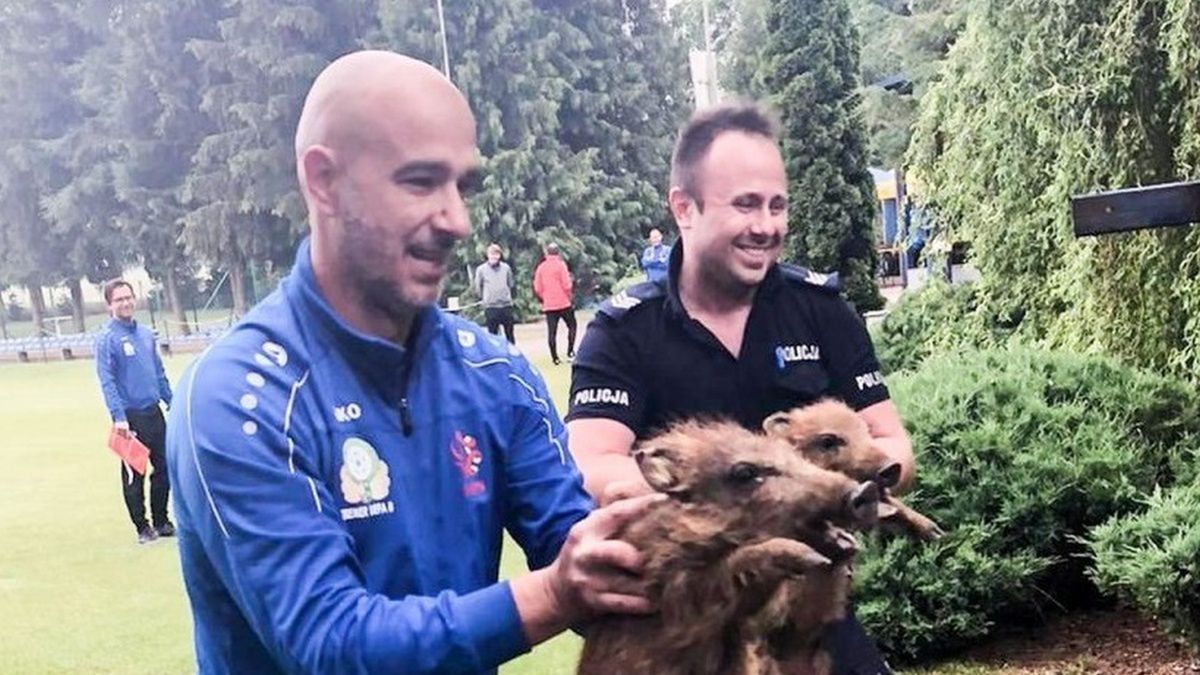 Policja ratuje zwierzaki.