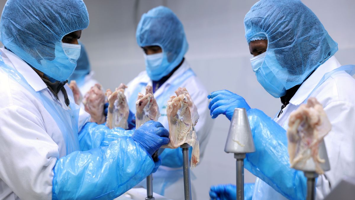 Workers cut breast meat from chicken carcasses on the production line at the Tanmiah Food Co. production facility in Shaqra, Saudi Arabia, on Wednesday, Oct. 23, 2024. Saudi Arabia, one of the hottest and driest places on Earth, has almost doubled poultry production in the past decade as Crown Prince Mohammed bin Salman pushes for food self-sufficiency. Photographer: Maya Anwar/Bloomberg via Getty Images