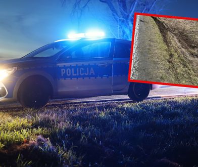 Dachował i wpadł do rowu. "Zapatrzył się w telefon i wypił trochę"