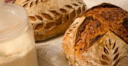 Czy chleb na zakwasie naprawdę jest zdrowszy? Eksperci jasno wskazują