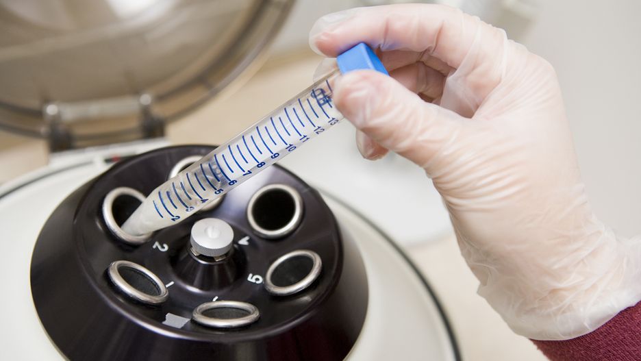 Rodzice zmarłych żołnierzy pobierają nasienie, by mieć wnuki