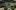 Total War Battles