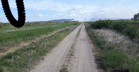 Znów płoną łąki w Lipiej Górze