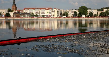 Tak teraz wygląda Odra. Lepiej się nie zbliżać. Alert ws. wody pitnej