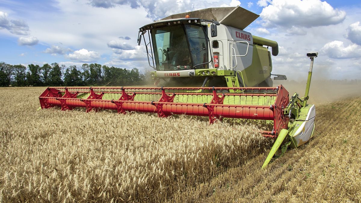 A harvest combine collects wheat at a field about 25 kilometers from the front line in the Chuhuiv region of Kharkiv area, Ukraine, 19 July 2022 amid the Russian invasion. Ukraine faces logistic problems exporting its harvest to the world market due to the Russian invasion which is taking a toll on the country's exports of grains and vegetable oils. Turkish, Ukrainian, Russian, and UN officials on 13 July agreed on mesaures to facilitate Ukrainian grain exports. Turkish president Erdogan at a three-way summit on Syria on 19 July called Russia's approach to get Ukrainian grain stuck at Black Sea ports out of the country as "positive." Russian troops on 24 February entered Ukrainian territory, starting a conflict that has provoked destruction and a humanitarian crisis. EPA/SERGEY KOZLOV Dostawca: PAP/EPA.