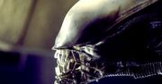Alien: Isolation - wygląda na to, że będzie jeszcze jedna gra o Obcych (albo magnesy na lodówkę)