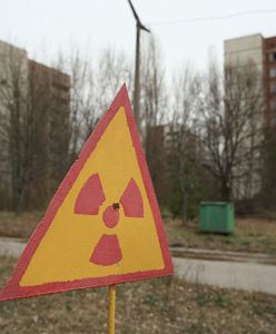 Niespodziewane odkrycie w Czarnobylu. Naukowcy ujawnili