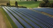 Paradoks fotowoltaiki w Polsce. Słońce świeci, a elektrownie hamują
