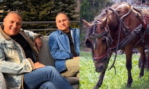 Łukasz i Paweł "zwierzęta mają służyć ludziom" Golcowie skomentowali spór o bryczki na Morskie Oko. "DOGADAJCIE SIĘ"
