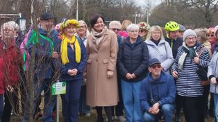 Piła: Buk czerwonolistny upamiętnił Jacka Markiewicza