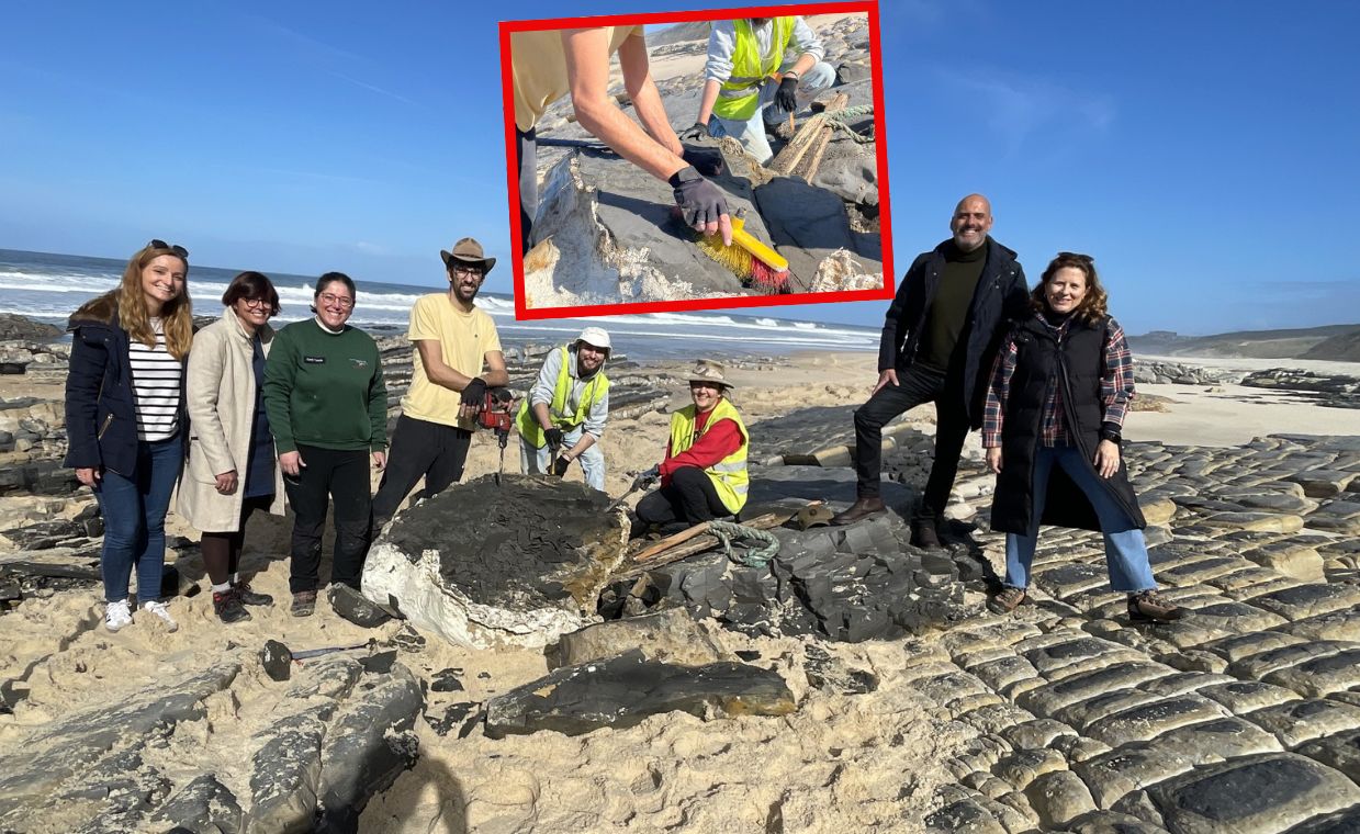 Fossilised dinosaur skeleton on a beach in Portugal / Photo by Marinha Grande City Council