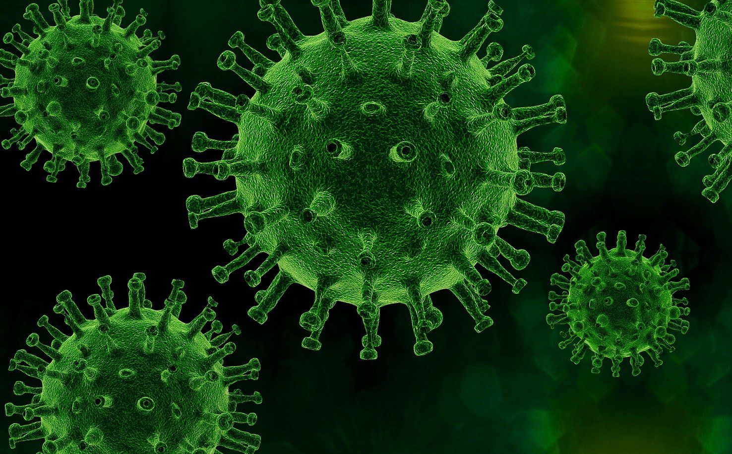 Ptasia grypa u człowieka. W Chile wykryto pierwszy przypadek