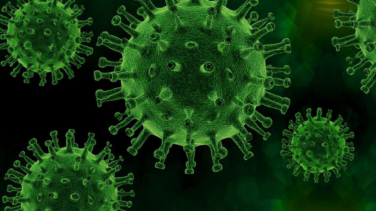 Pierwszy przypadek ptasiej grypy w Chile.