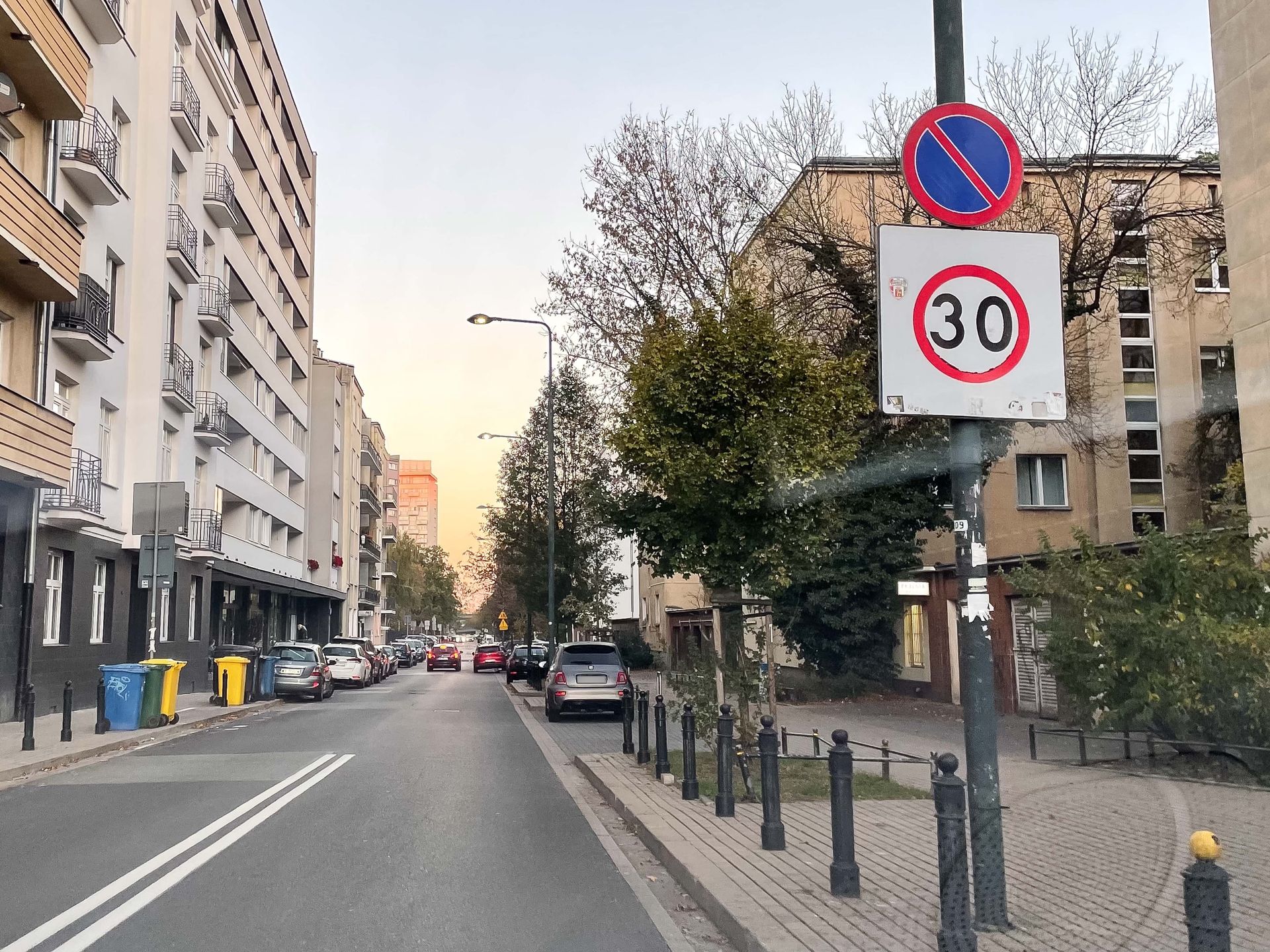 Grażyna Torbicka parkuje na zakazie
