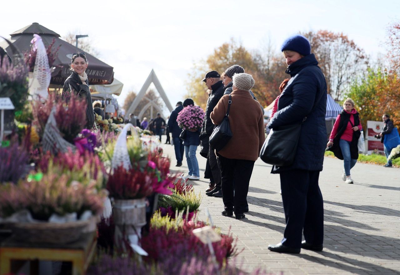 Lublin: Trwają przygotowania do Wszystkich Świętych. Zajrzeliśmy w rejon cmentarza na Majdanku. Zobacz zdjęcia