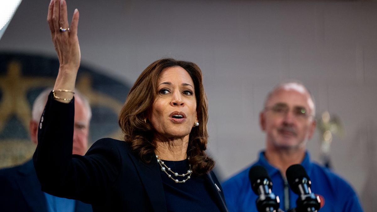 WAYNE, MICHIGAN - AUGUST 08: Democratic presidential candidate, U.S. Vice President Kamala Harris, accompanied by United Automobile Workers President Shawn Fain (R), speaks at a campaign rally at United Auto Workers Local 900 on August 8, 2024 in Wayne, Michigan. Kamala Harris and her newly selected running mate Tim Walz are campaigning across the country this week. (Photo by Andrew Harnik/Getty Images)