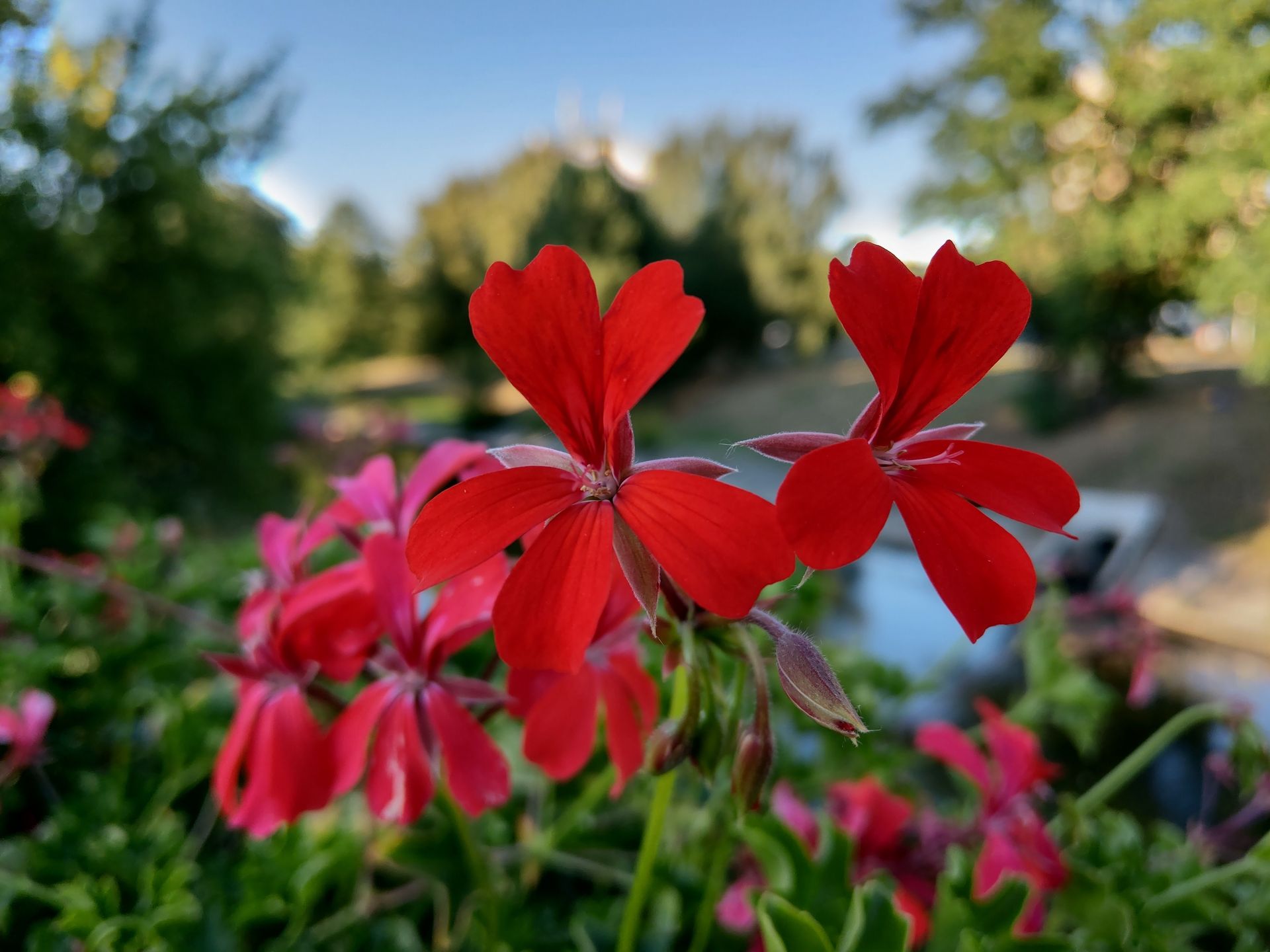 Najmocniejsze strony HTC U12+ 18