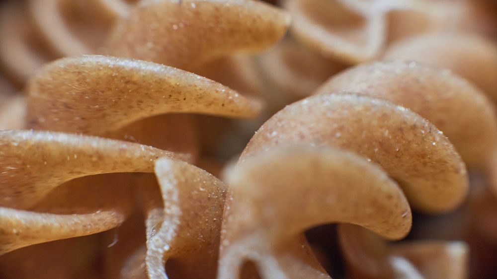 Masz za wysoki cukier? Sprawdź, jak proste zmiany w diecie mogą go obniżyć