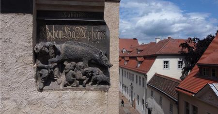 "Żydowska maciora" zostaje. Sąd oddalił skargę