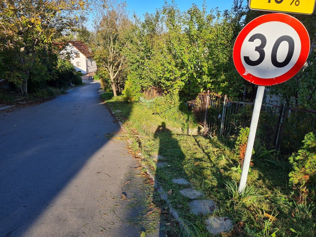 Zarośnięte chodniki na ul. Dzieci Zamojszczyzny
