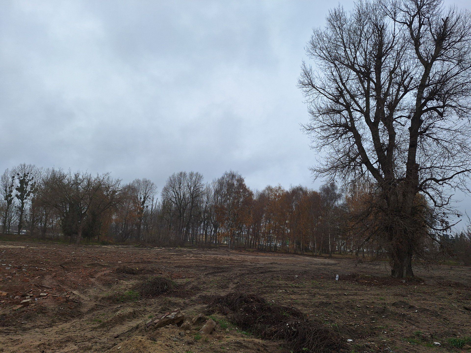 Teren po jednostce Armii Radzieckiej w Toruniu przeznaczony pod osiedle mieszkaniowe