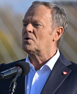 "Cyniczna postawa". Jest sprzeciw HFPC wobec słów Tuska