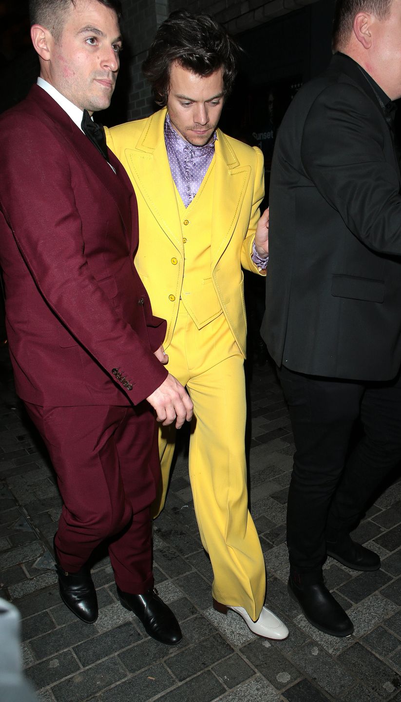 harry styles