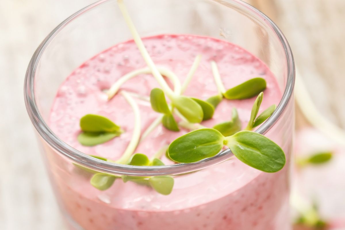 Podaj do obiadu zamiast słodkiego soku. Ten wiosenny koktajl nawadnia i podkręca metabolizm