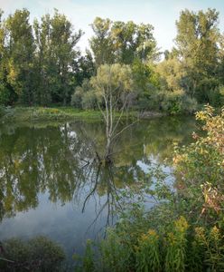 Зустріч на березі Вісли. Акція «Чиста річка»