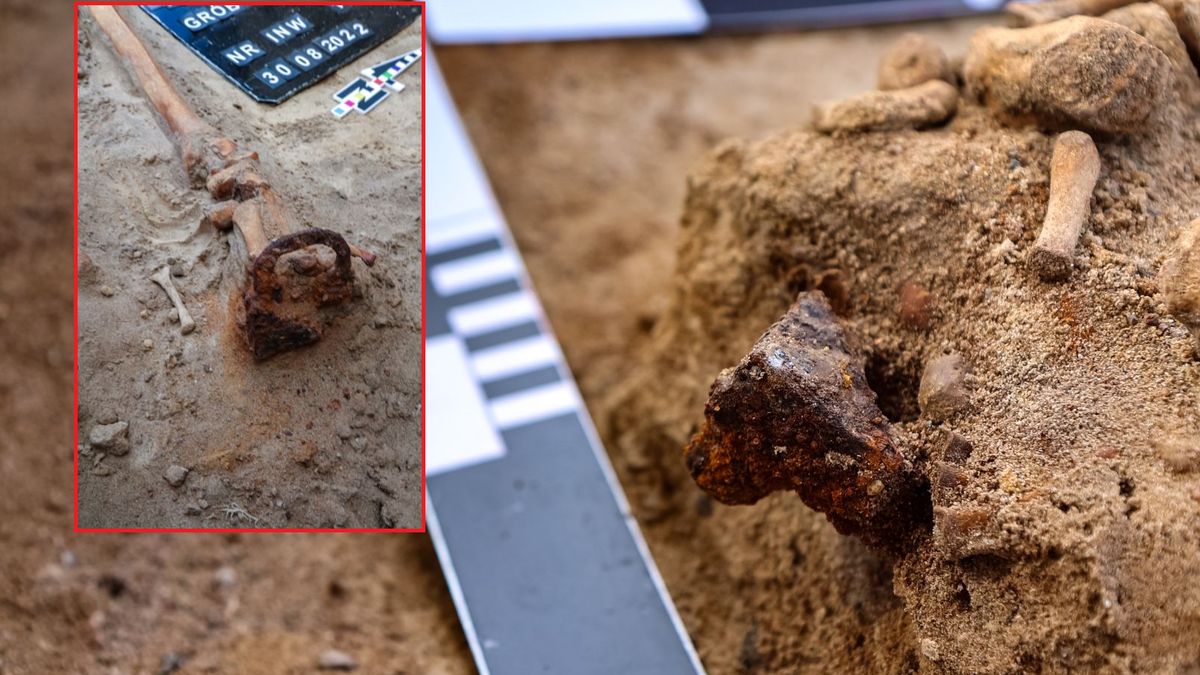 Instytutu Archeologii UMK w Toruniu przekazał informacje o kolejnym odkryciu.