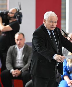 Kaczyński odpowie prawnie za Fundusz? Kierwiński wskazuje