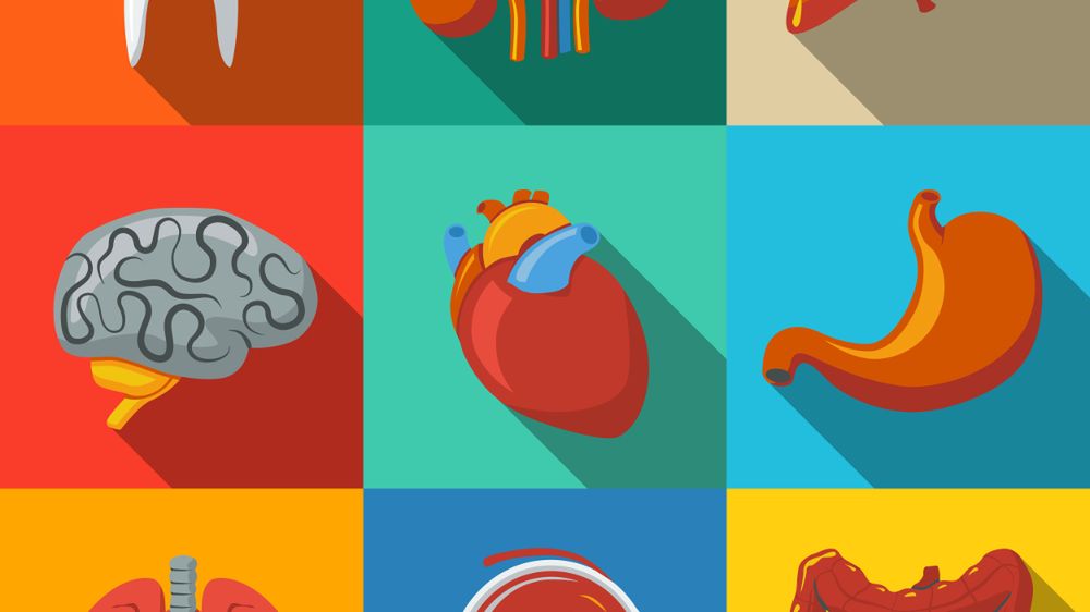 Podaruj życie innej osobie – co warto wiedzieć o transplantologii?