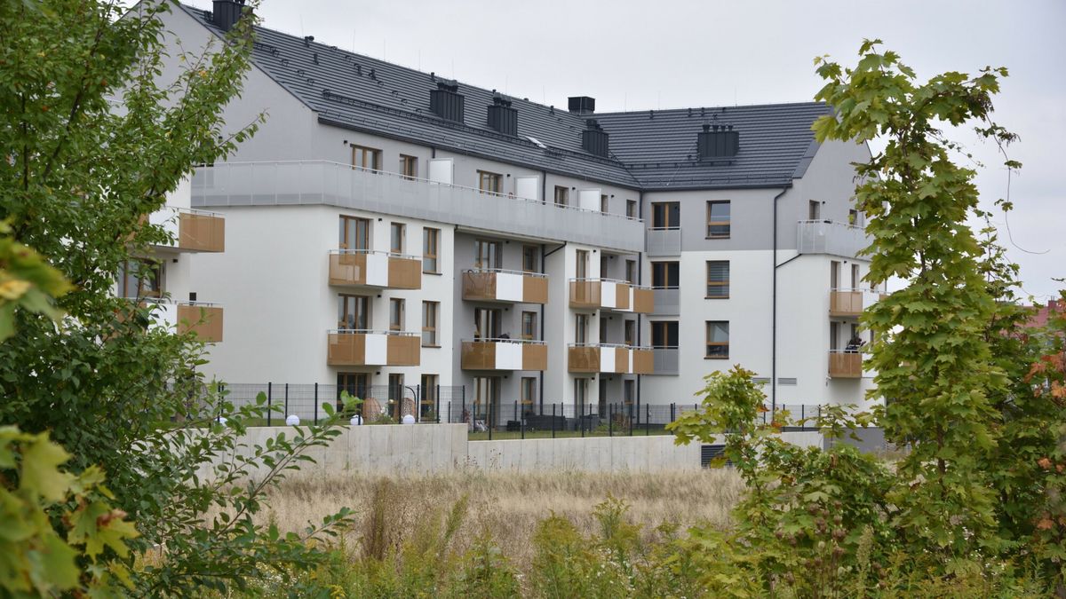 Jawne ceny mieszka?
Fot. Bartlomiej Magierowski/East News. Wroclaw 9.09.2025: Od 11 wrzesnia developerzy i agencje nieruchomosci musza ujawnic ceny mieszkan. N/z: budowa osiedla na Zakrzowie.
Bartlomiej Magierowski