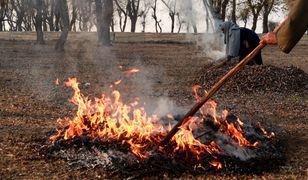 Palenie liśćmi na działce. Oto co mówi prawo