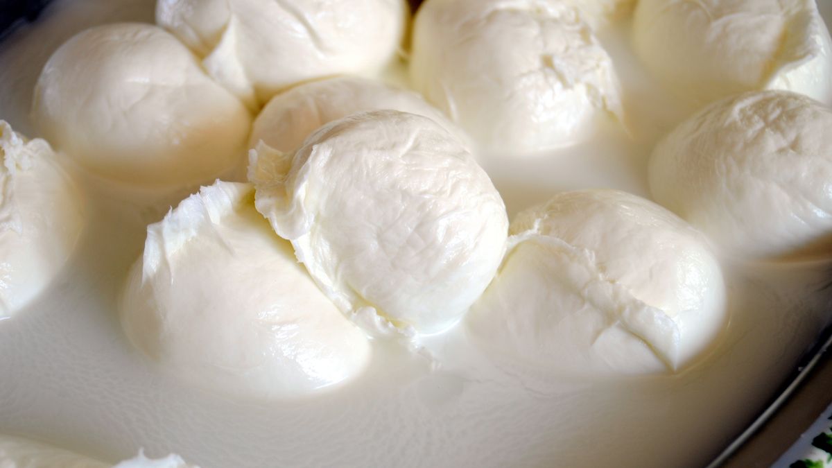 mozzarella, mozzarelle, bufala, sud, italia, bufalo, latte, latticino, caseario, treccia, bocconcino, artigianale, commestibile, buono, antipasto, bianco, fresco, morbido, gustoso, grondante, goccia, lacrima, pasta, mucca, vacca, vaccino, ovini, formaggio, colesterolo, intolleranza, campania