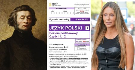 Matura z polskiego z Pudelkiem. "Spór, o którym mowa w tytule: 'Kinga Rusin wbiła szpilę Małgorzacie Rozenek', możemy porównać do konfliktu..." (QUIZ)