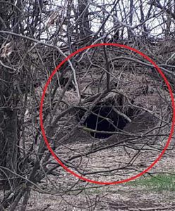 Rosjanie mieszkali w tej norze. "Kuchnia i WC jednocześnie"