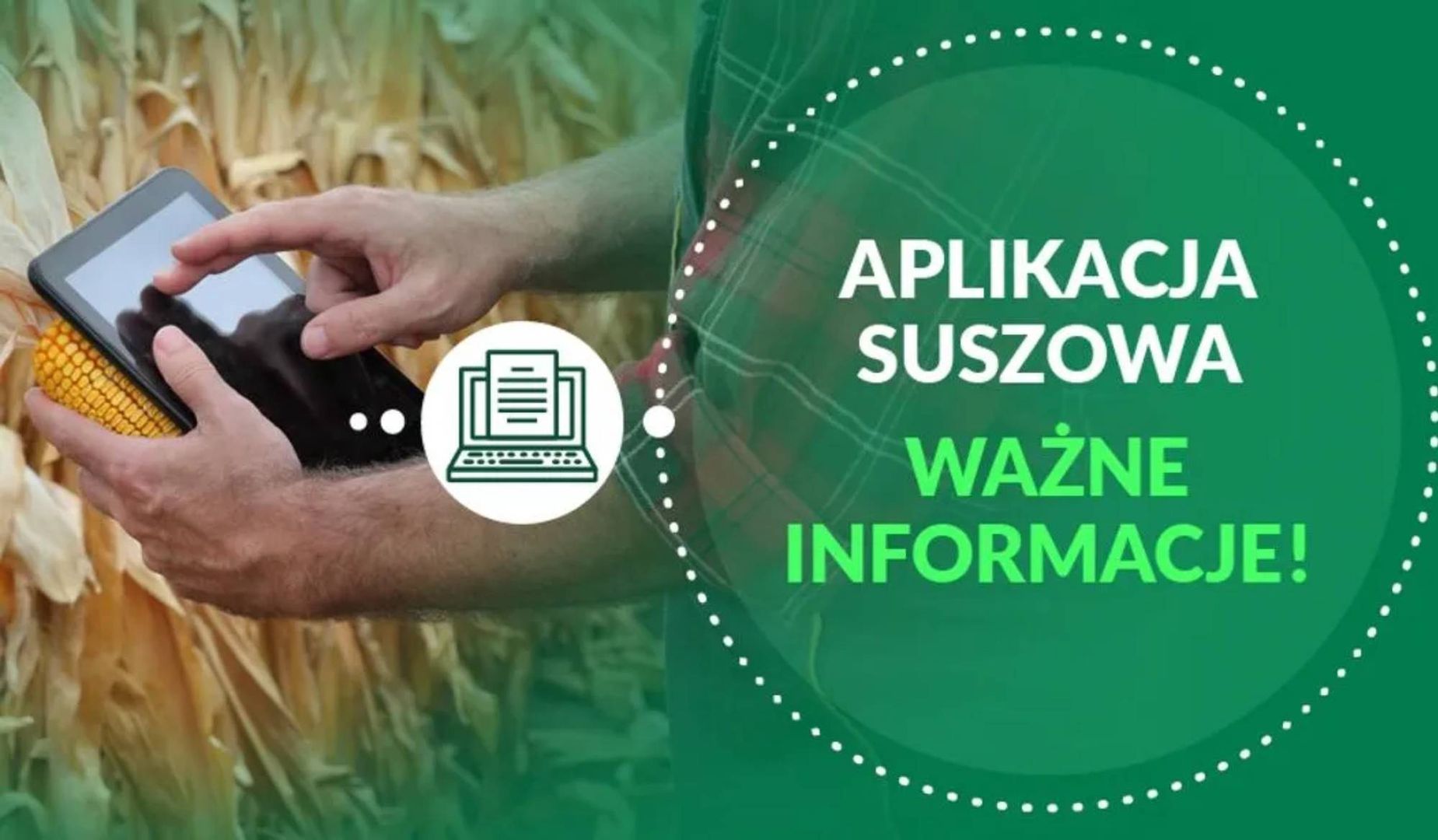 Jak działa algorytm suszowy?