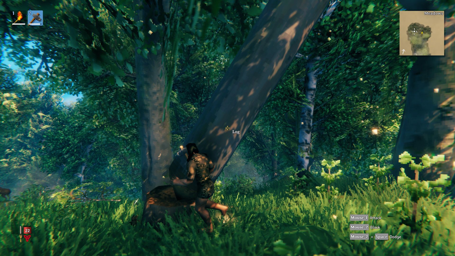 Valheim