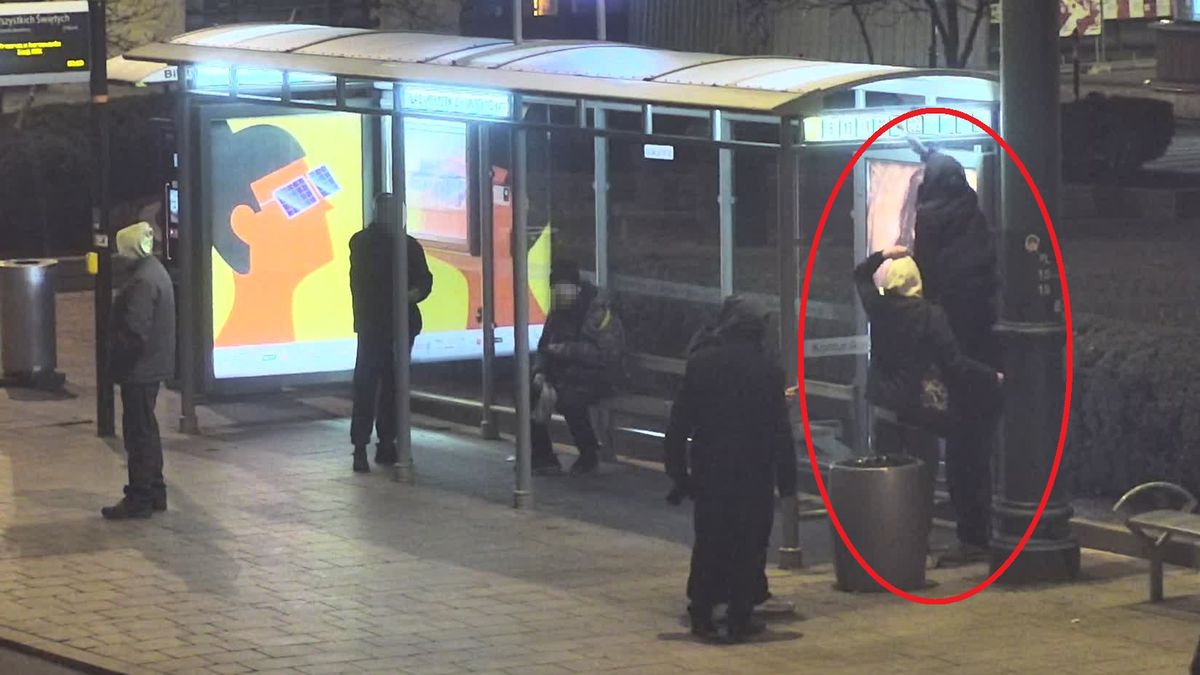 Kraków: Para zdjęła numer z wiaty przystankowej