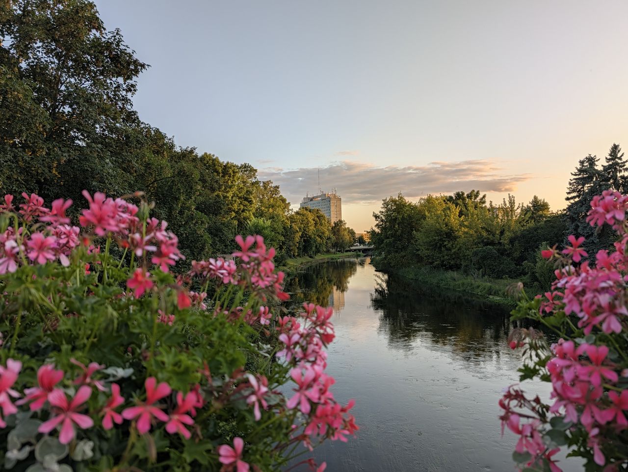 Pixel 11 Pro XL