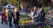 Kalisz: Ostatni weekend września. Jakie wydarzenia nas czekają?
