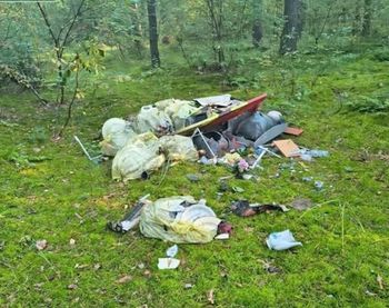"Dziadek wyrzucał, tata wyrzucał, to ja też". Leśnicy załamują ręce